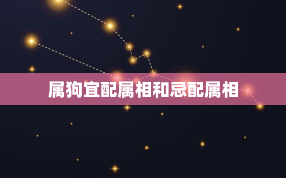 属狗宜配属相和忌配属相，属狗宜配属相和忌配属相相冲吗