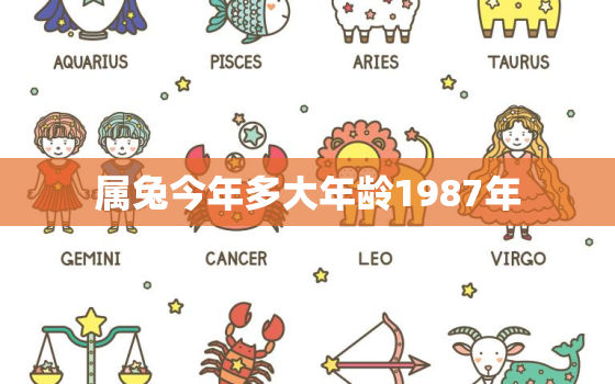 属兔今年多大年龄1987年，属兔的今年多大87年