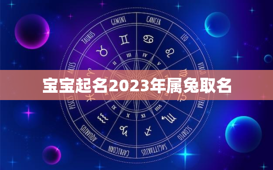 宝宝起名2023年属兔取名，2023年兔宝宝命格好么