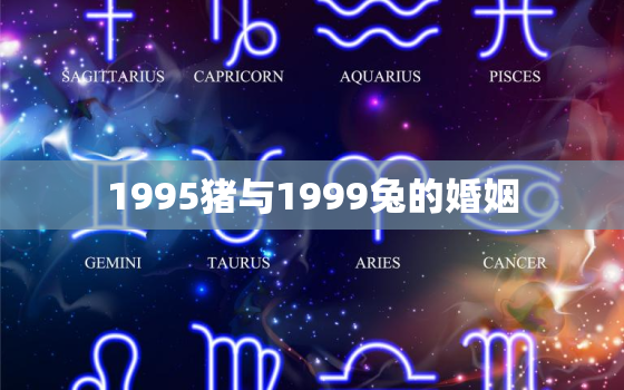 1995猪与1999兔的婚姻，1995属猪和1999属兔的婚姻怎么样