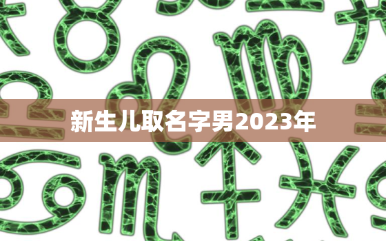 新生儿取名字男2023年，2022新生
儿取名