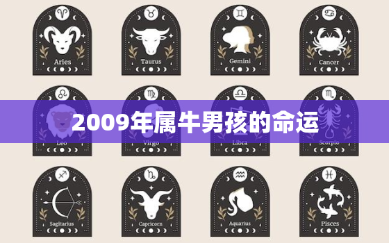 2009年属牛男孩的命运，2009年属牛男孩2023年运势