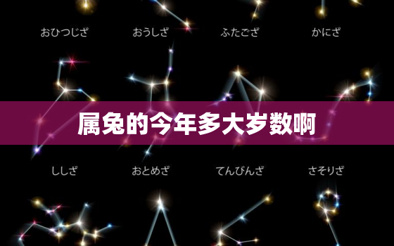 属兔的今年多大岁数啊，属兔的今年多大岁数啊女