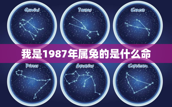 我是1987年属兔的是什么命，1987年属兔的是什么命人