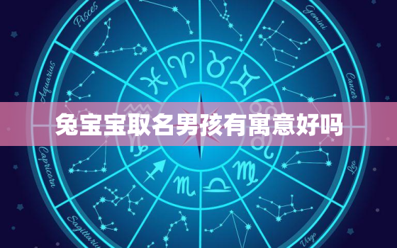 兔宝宝取名男孩有寓意好吗，兔宝宝名字寓意好字