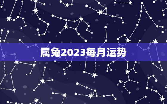 属兔2023每月运势，属兔2023运势及运程每月运程