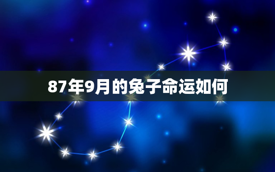 87年9月的兔子命运如何，87年属兔人最穷不过36岁