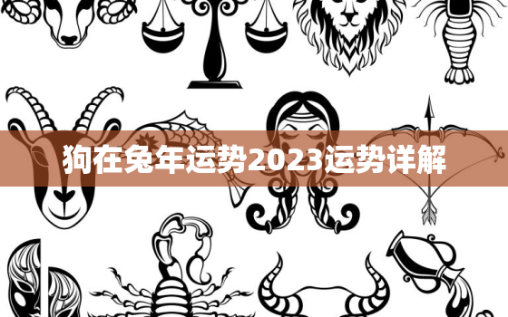 狗在兔年运势2023运势详解，82年狗40岁后十年大运运程