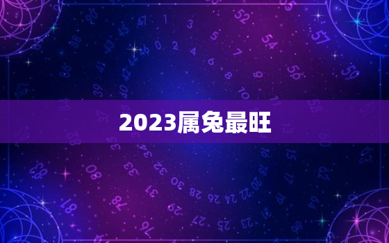 2023属兔最旺
，属兔的选车牌