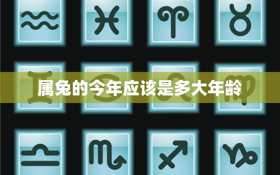 属兔的今年应该是多大年龄，属兔的今年应该是多大年龄了