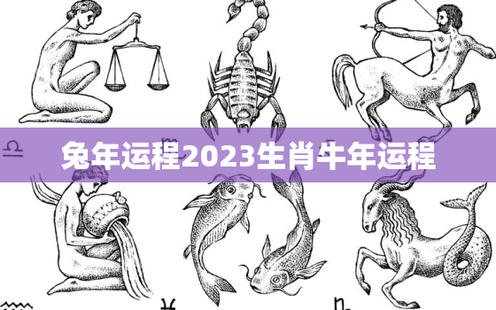 兔年运程2023生肖牛年运程，兔年2023年牛年运势及运程