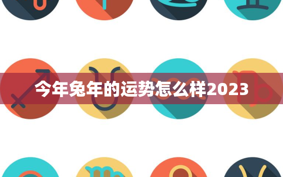 今年兔年的运势怎么样2023，今年兔年的运程