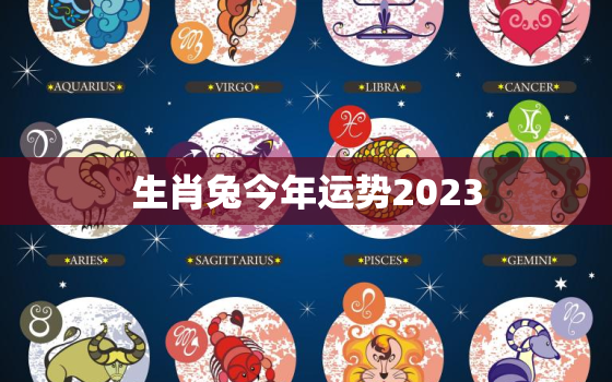 生肖兔今年运势2023，属兔人今年运势2023年每月运势