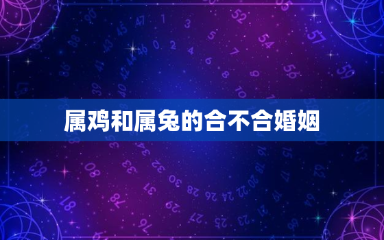 属鸡和属兔的合不合婚姻，属鸡和属兔的合不合 他们结婚好吗