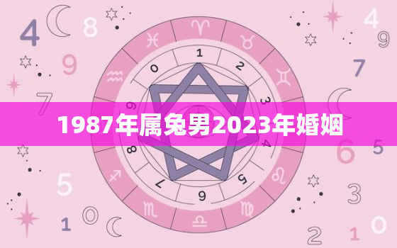 1987年属兔男2023年婚姻，1987年兔男2023年感情与婚姻