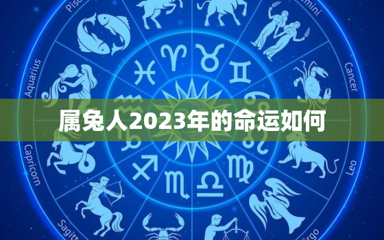 属兔人2023年的命运如何，属兔的人在2023年的运势怎么样