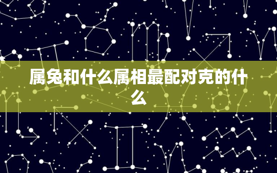 属兔和什么属相最配对克的什么，属兔的和什么属相最配婚姻最不合适