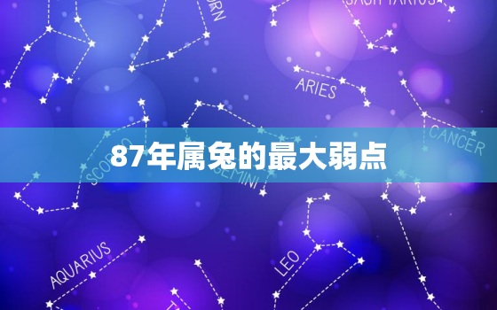 87年属兔的最大弱点，87年的兔怎么样