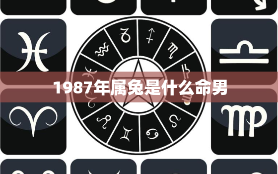 1987年属兔是什么命男，1987年属兔是什么命男2022