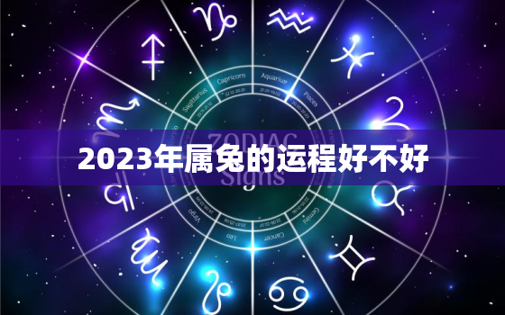 2023年属兔的运程好不好，2023年属兔人的全年运势如何