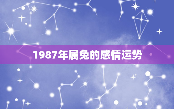 1987年属兔的感情运势，1987年属兔2021年感情运势