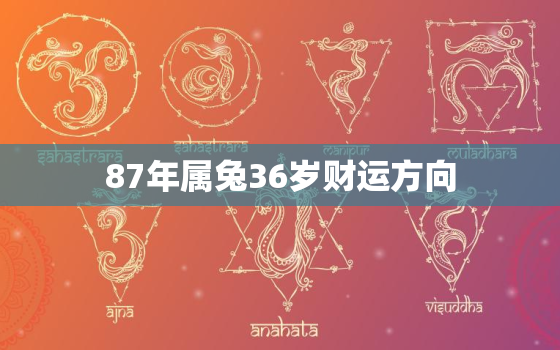 87年属兔36岁财运方向，87年兔36岁的财运