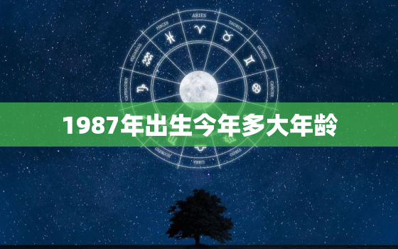 1987年出生今年多大年龄，1987年出生今年多大了