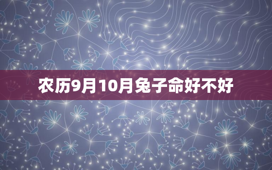 农历9月10月兔子命好不好，农历10月的兔子好吗