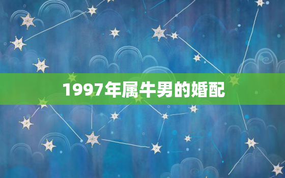 1997年属牛男的婚配，1997年属牛男的婚配什么属相