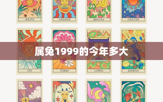 属兔1999的今年多大，属兔1999的今年多大岁数