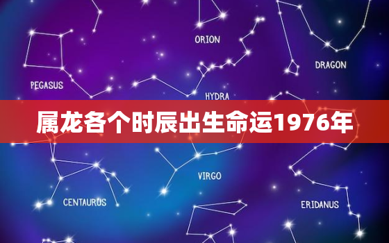 属龙各个时辰出生命运1976年，1976年的龙出生在申时