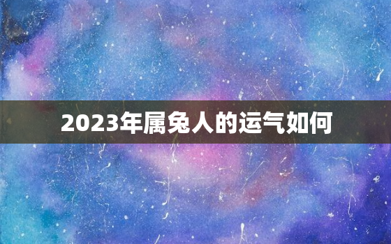 2023年属兔人的运气如何，2023年属兔人的全年运势及运程