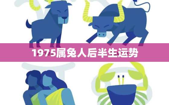 1975属兔人后半生运势，1975属兔2021以后运气