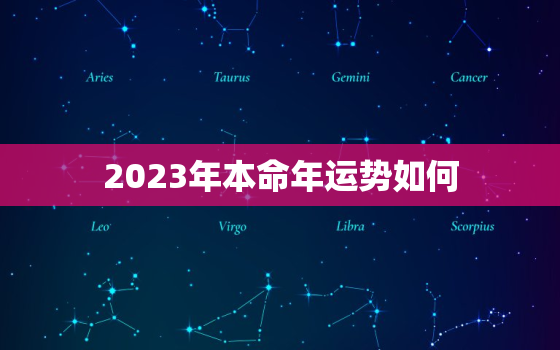 2023年本命年运势如何，75属兔女2023年本命年运势如何