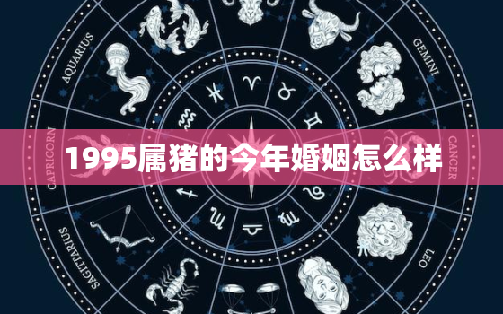 1995属猪的今年婚姻怎么样，1995属猪的今年婚姻怎么样呢