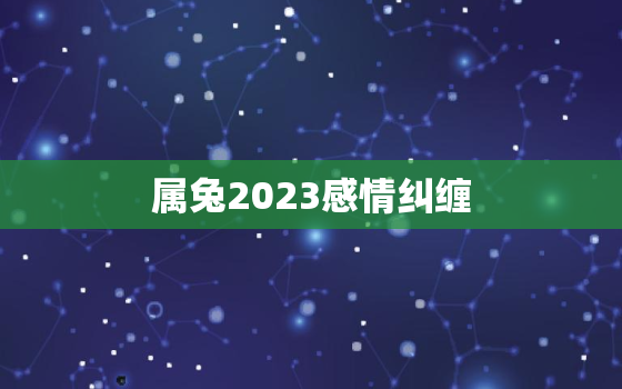 属兔2023感情纠缠，属兔人2023