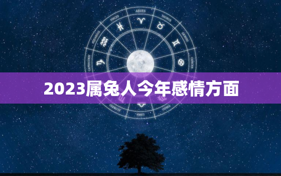 2023属兔人今年感情方面，属兔人2023年适合谈恋爱吗