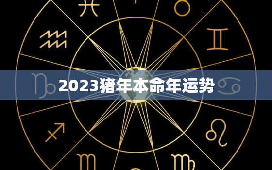 2023猪年本命年运势，2023年猪的运势