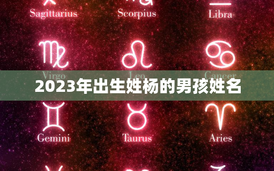 2023年出生姓杨的男孩姓名，2023年男孩名字