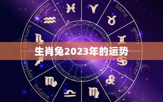 生肖兔2023年的运势，生肖兔2023年运势,神巴巴