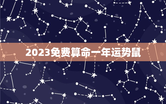 2023免费算命一年运势鼠，2023鼠的命运