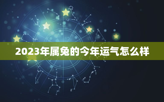 2023年属兔的今年运气怎么样，2023年属兔的全年运势怎么样