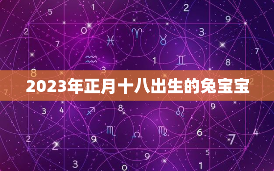 2023年正月十八出生的兔宝宝，2023年正月十
是几月几日