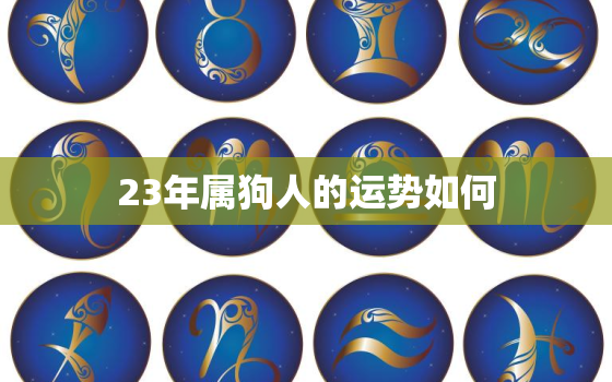 23年属狗人的运势如何，2023年属狗的运程