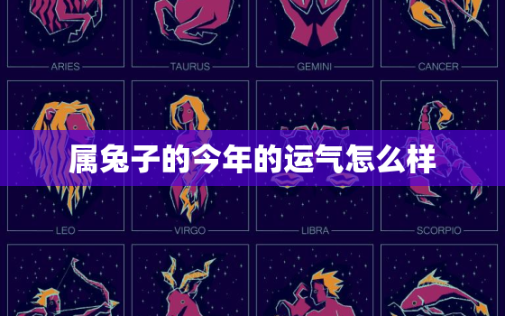 属兔子的今年的运气怎么样，属兔子今年的运势怎么样