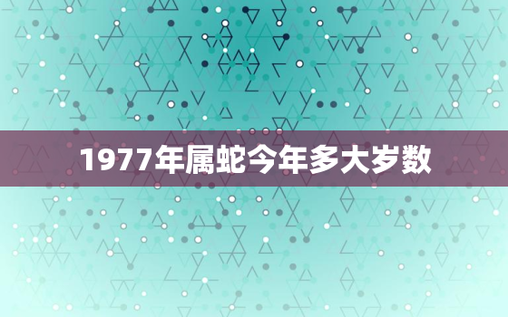 1977年属蛇今年多大岁数，1977年的属蛇的今年多大了