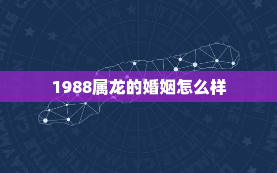 1988属龙的婚姻怎么样，88年属龙人最穷不过36岁