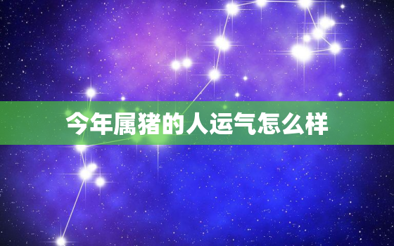 今年属猪的人运气怎么样，今年属猪人的运气如何