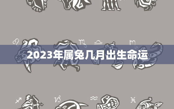 2023年属兔几月出生命运，2023年属兔几月出生命运好呢