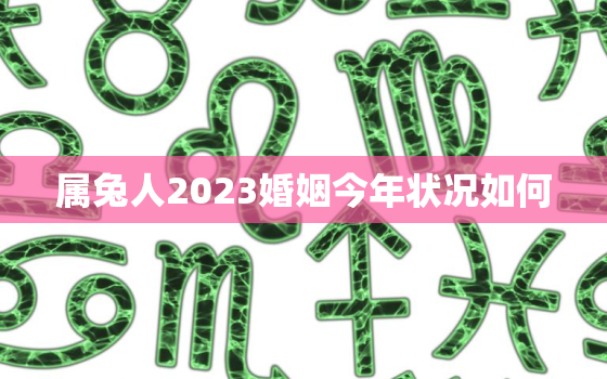 属兔人2023婚姻今年状况如何，属兔2023年运势及运程_2021年属兔人的全年运势